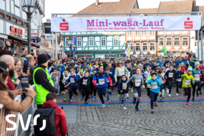 Celler Mini Wasa Lauf 2025